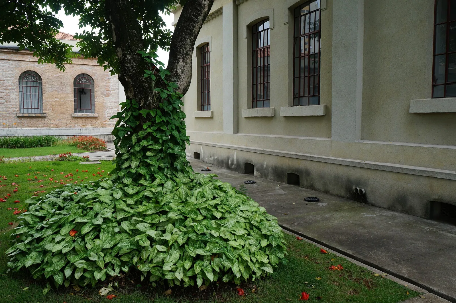 Immigration Museum of the State of São Paulo