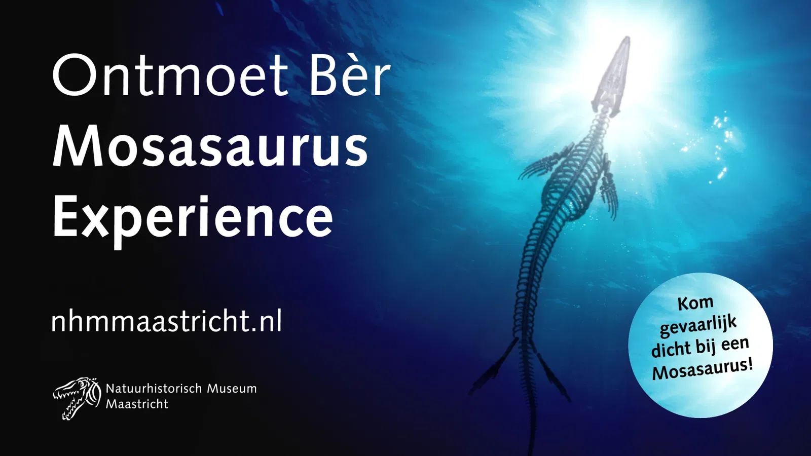 Ontmoet Bèr – Mosasaurus experience