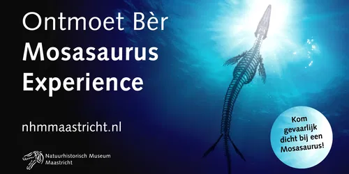 Ontmoet Bèr – Mosasaurus experience