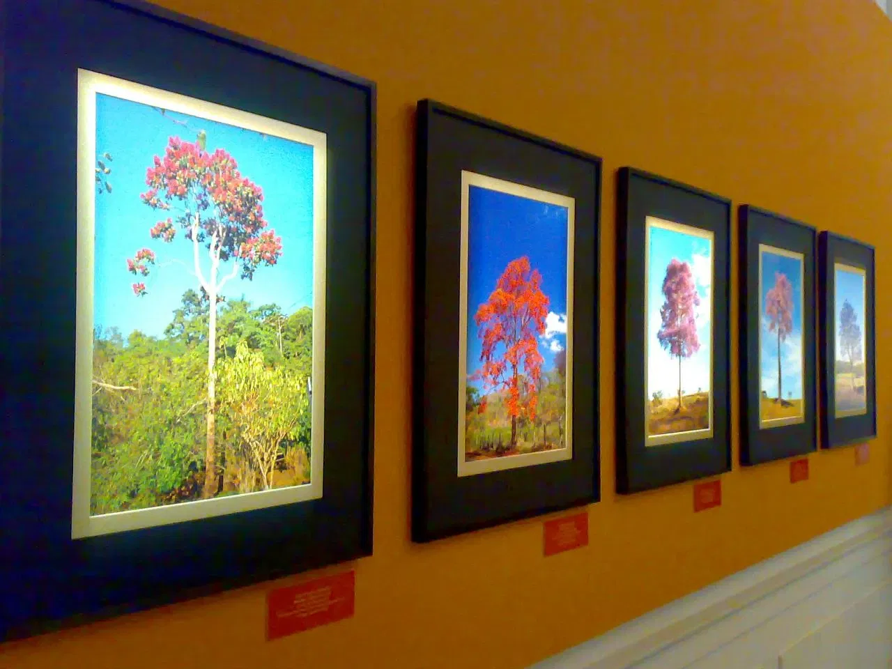 Museu da Casa Brasileira