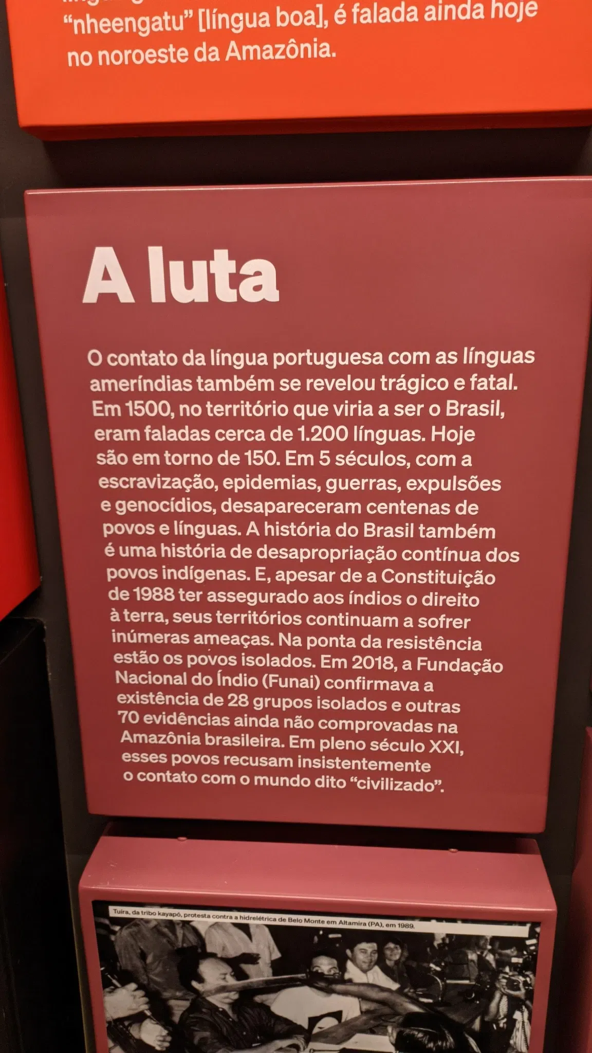 Musée de la langue portugaise