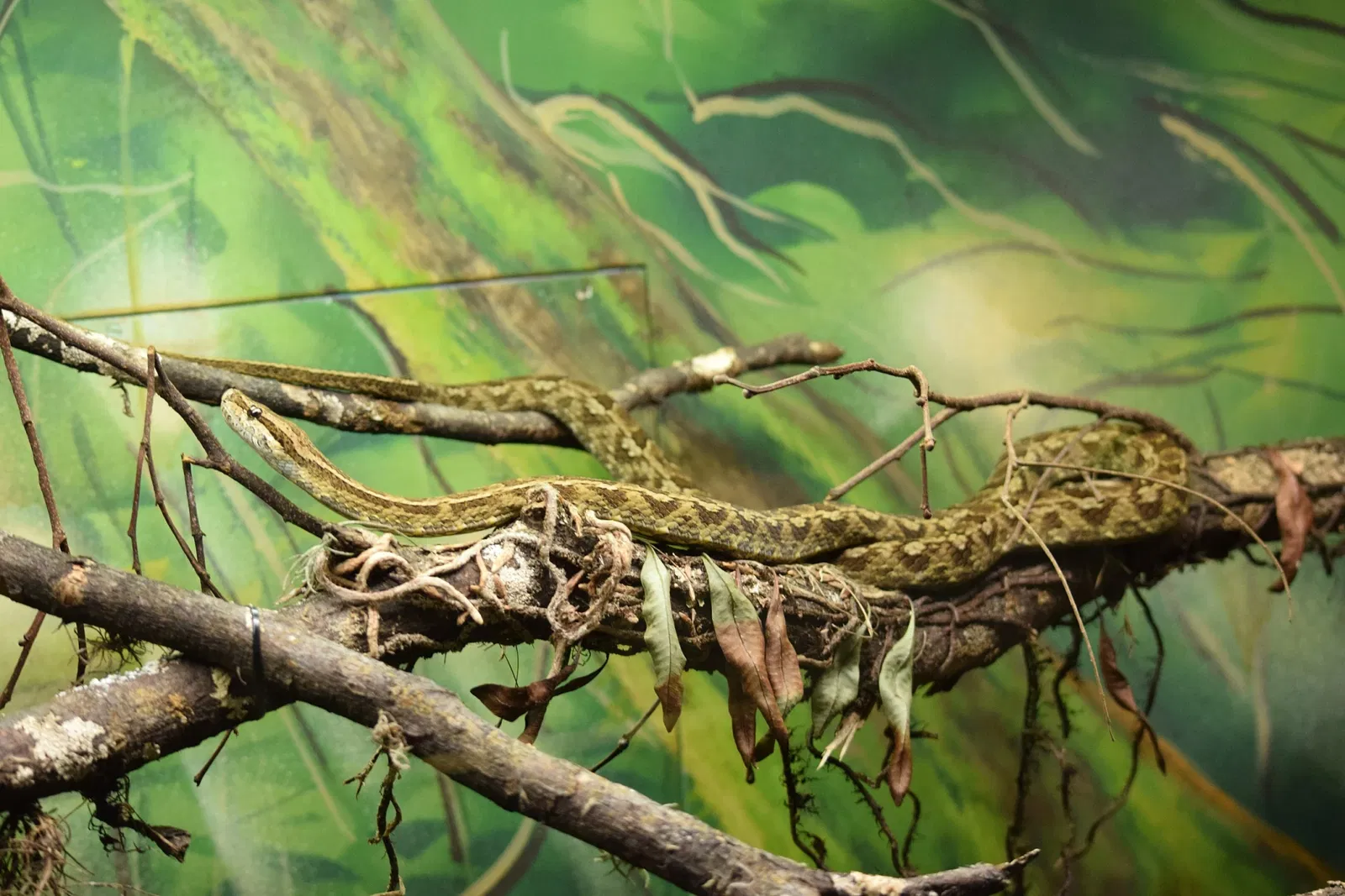 Museu Biológico Instituto Butantan