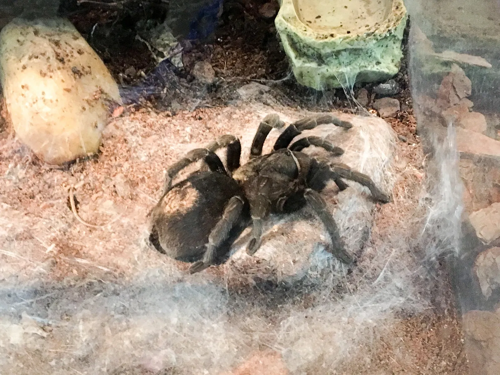 Museu Biológico Instituto Butantan