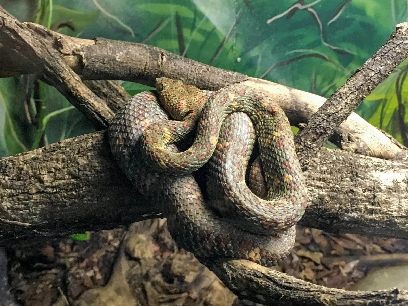 Museu Biológico Instituto Butantan