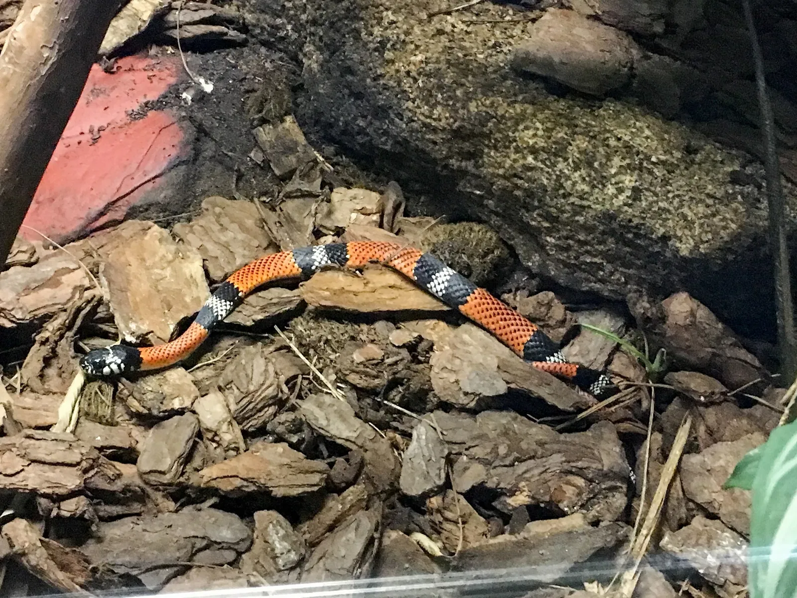 Museu Biológico Instituto Butantan