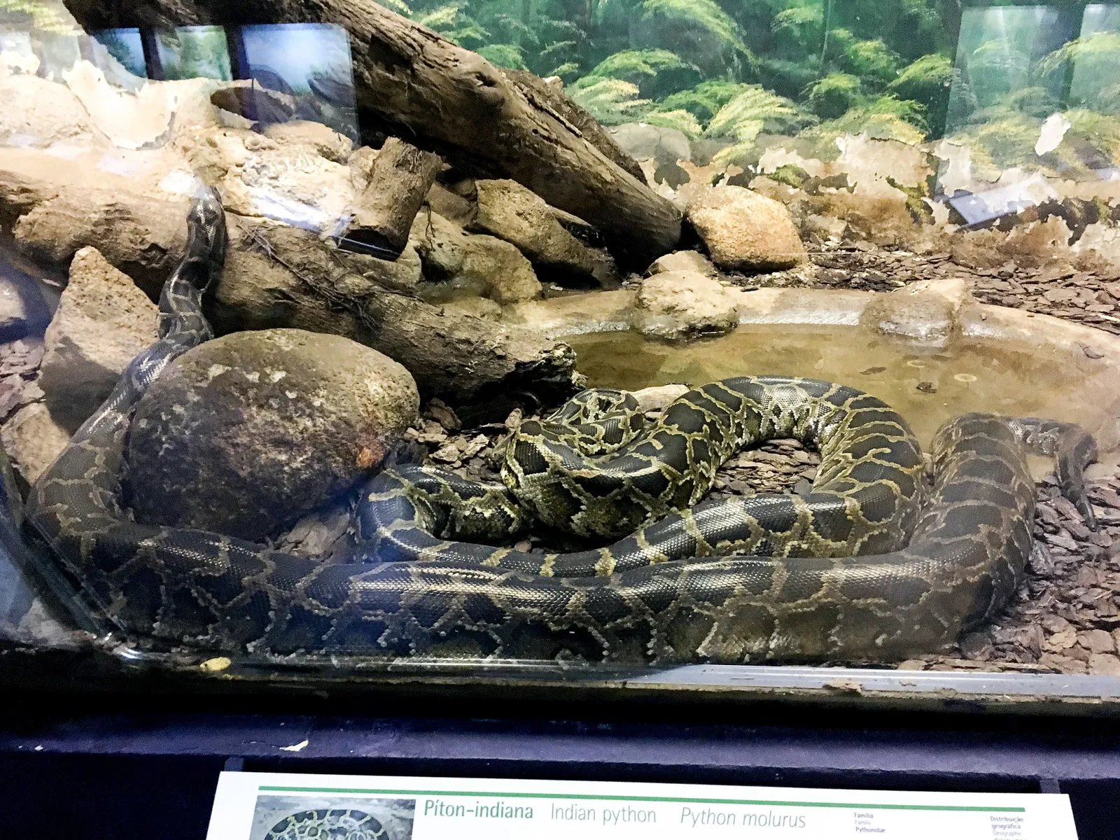 Museu Biológico Instituto Butantan