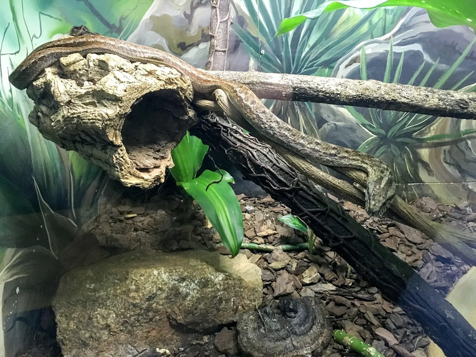 Museu Biológico Instituto Butantan