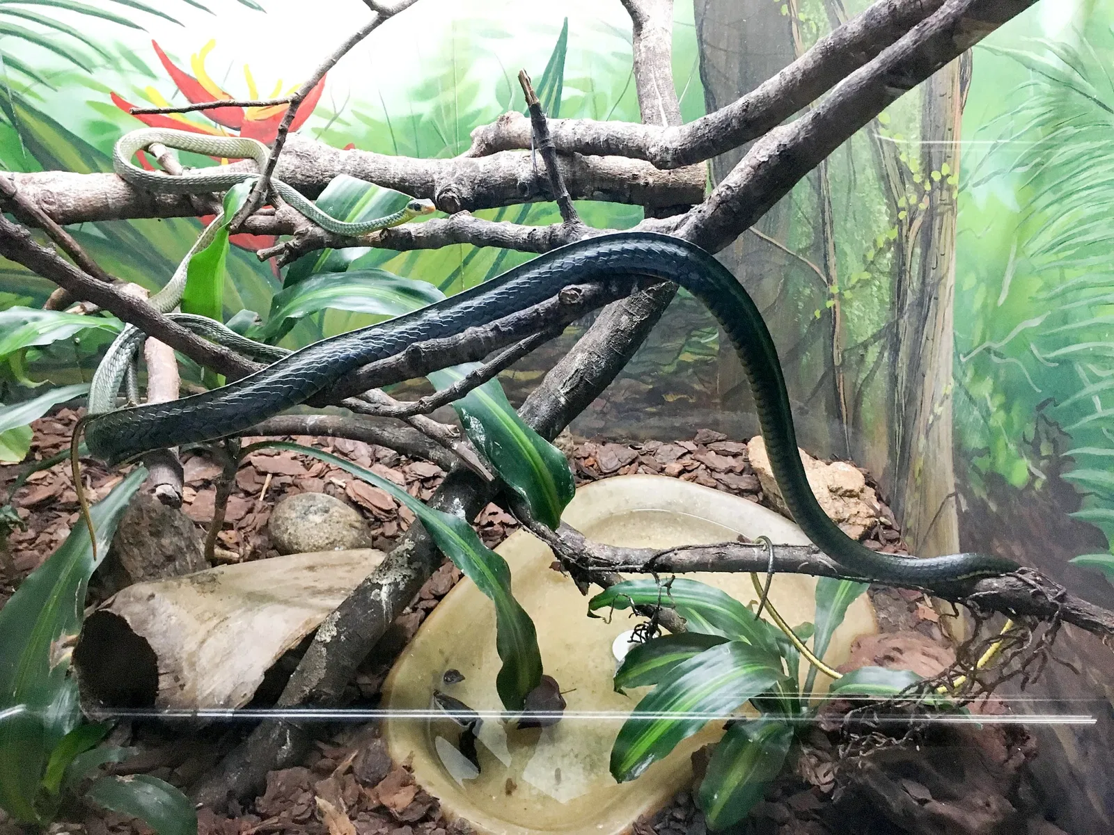 Museu Biológico Instituto Butantan