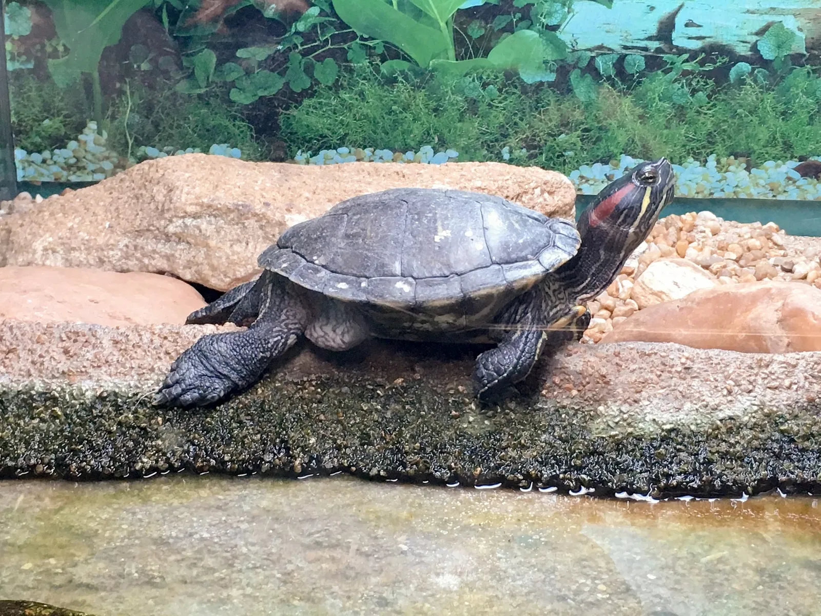 Museu Biológico Instituto Butantan