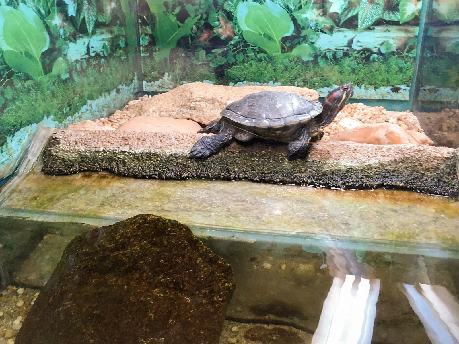 Museu Biológico Instituto Butantan