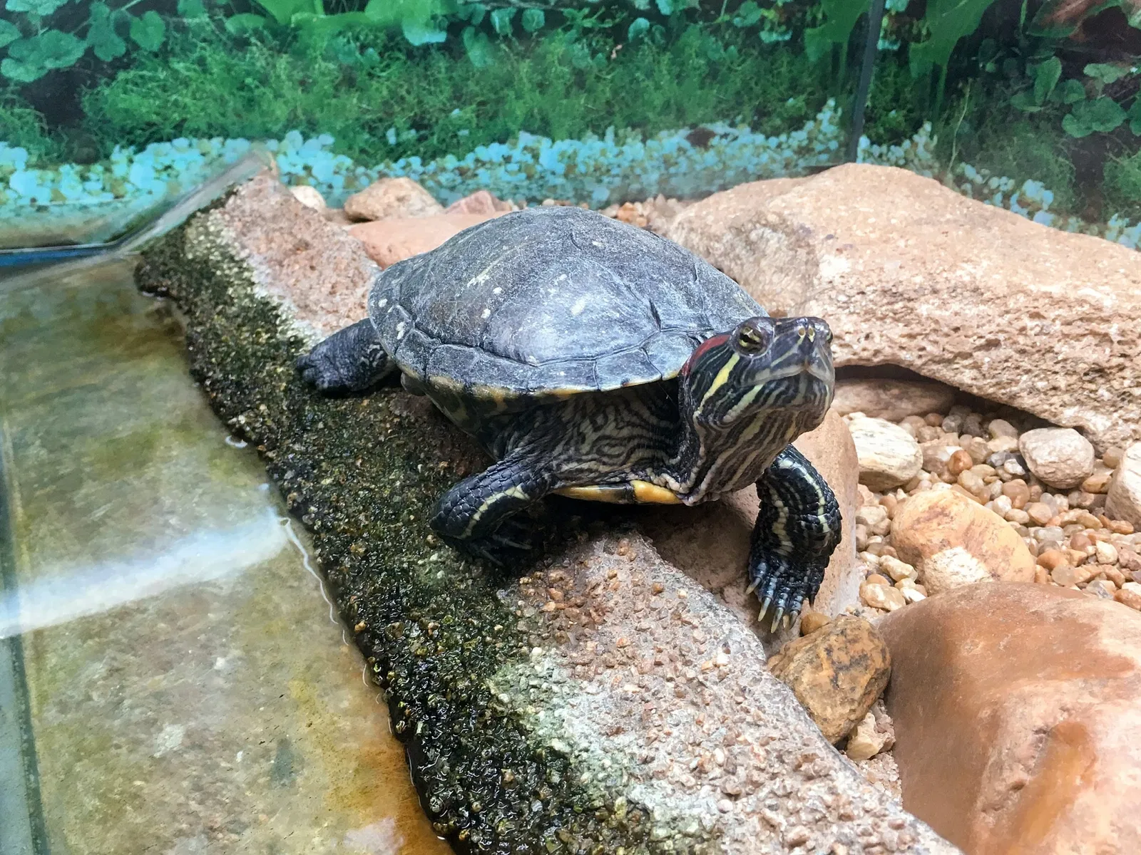 Museu Biológico Instituto Butantan