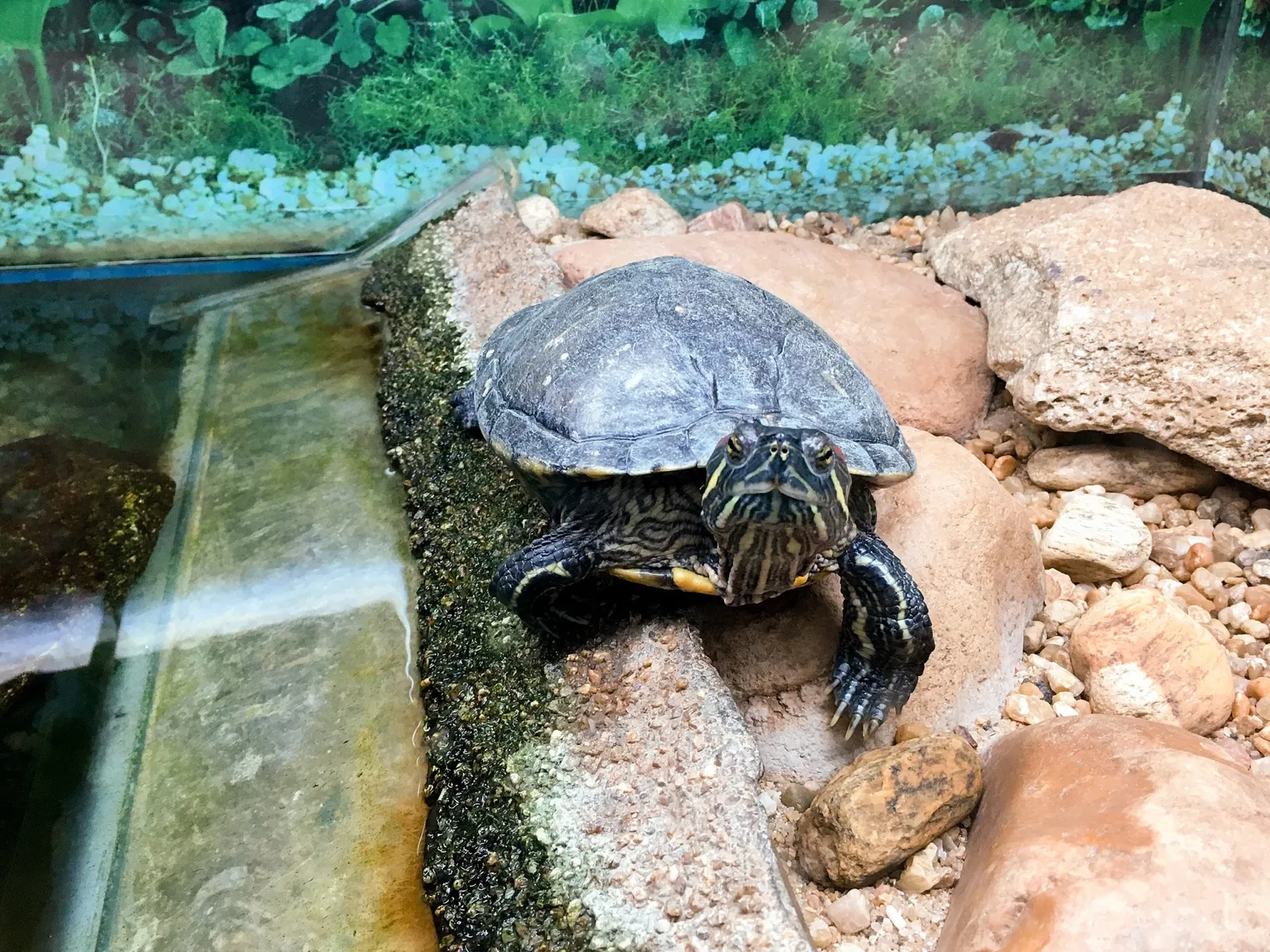 Museu Biológico Instituto Butantan