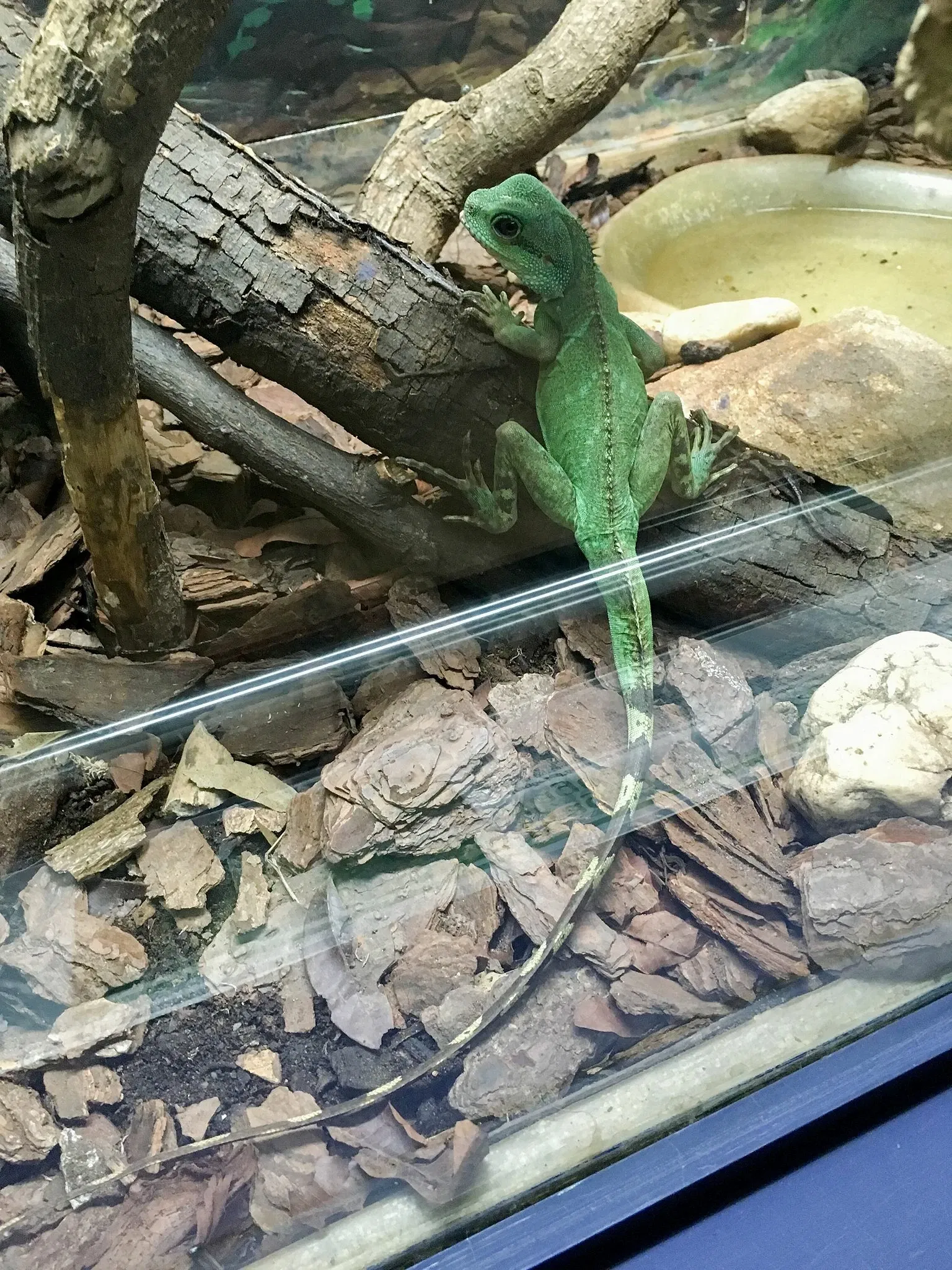 Museu Biológico Instituto Butantan