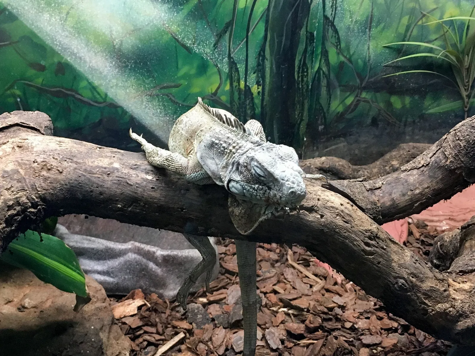 Museu Biológico Instituto Butantan