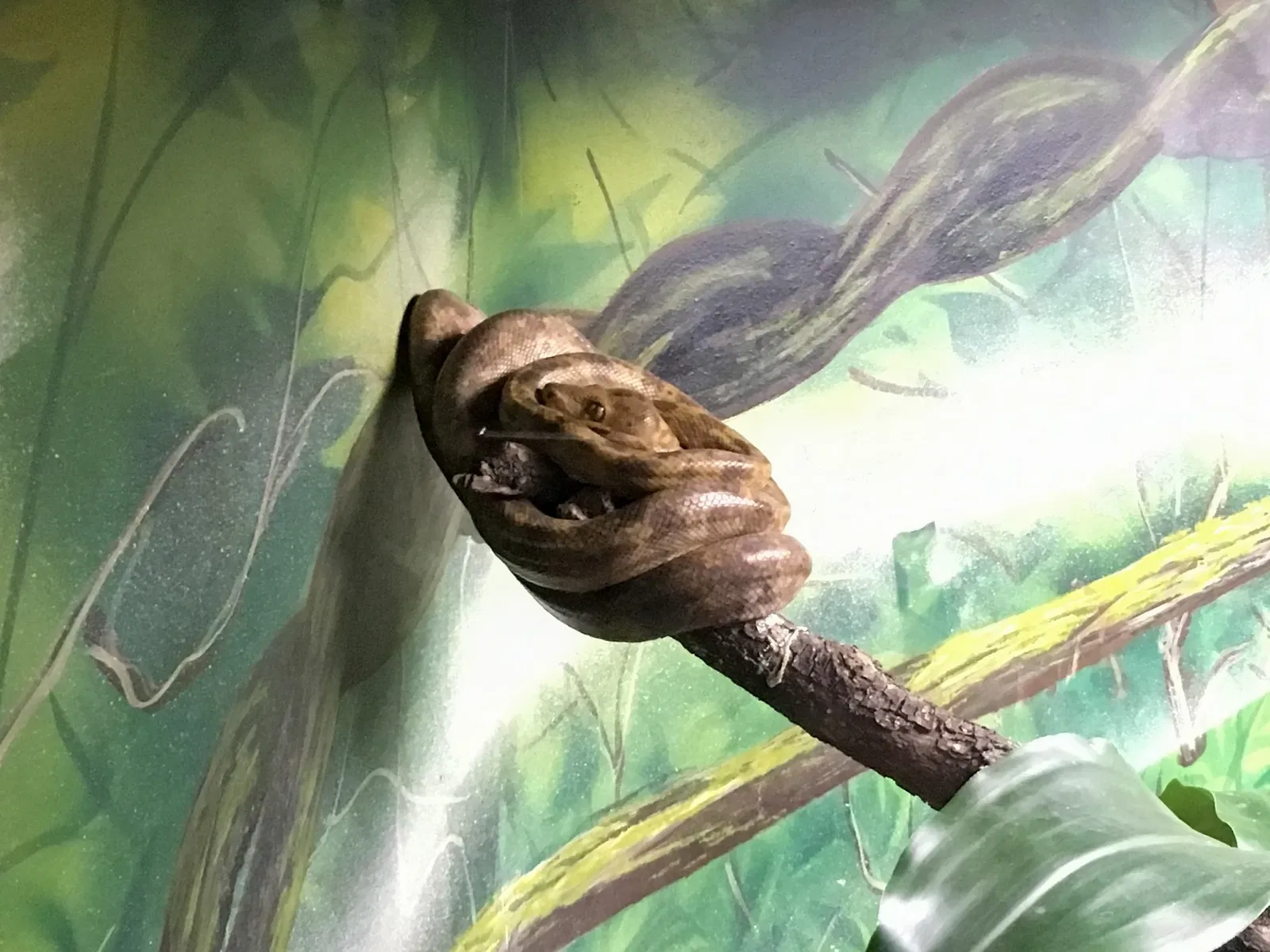 Museu Biológico Instituto Butantan