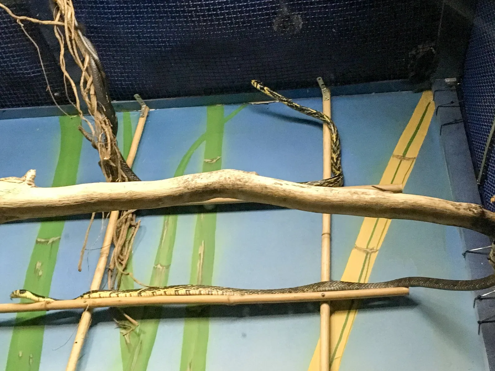 Museu Biológico Instituto Butantan