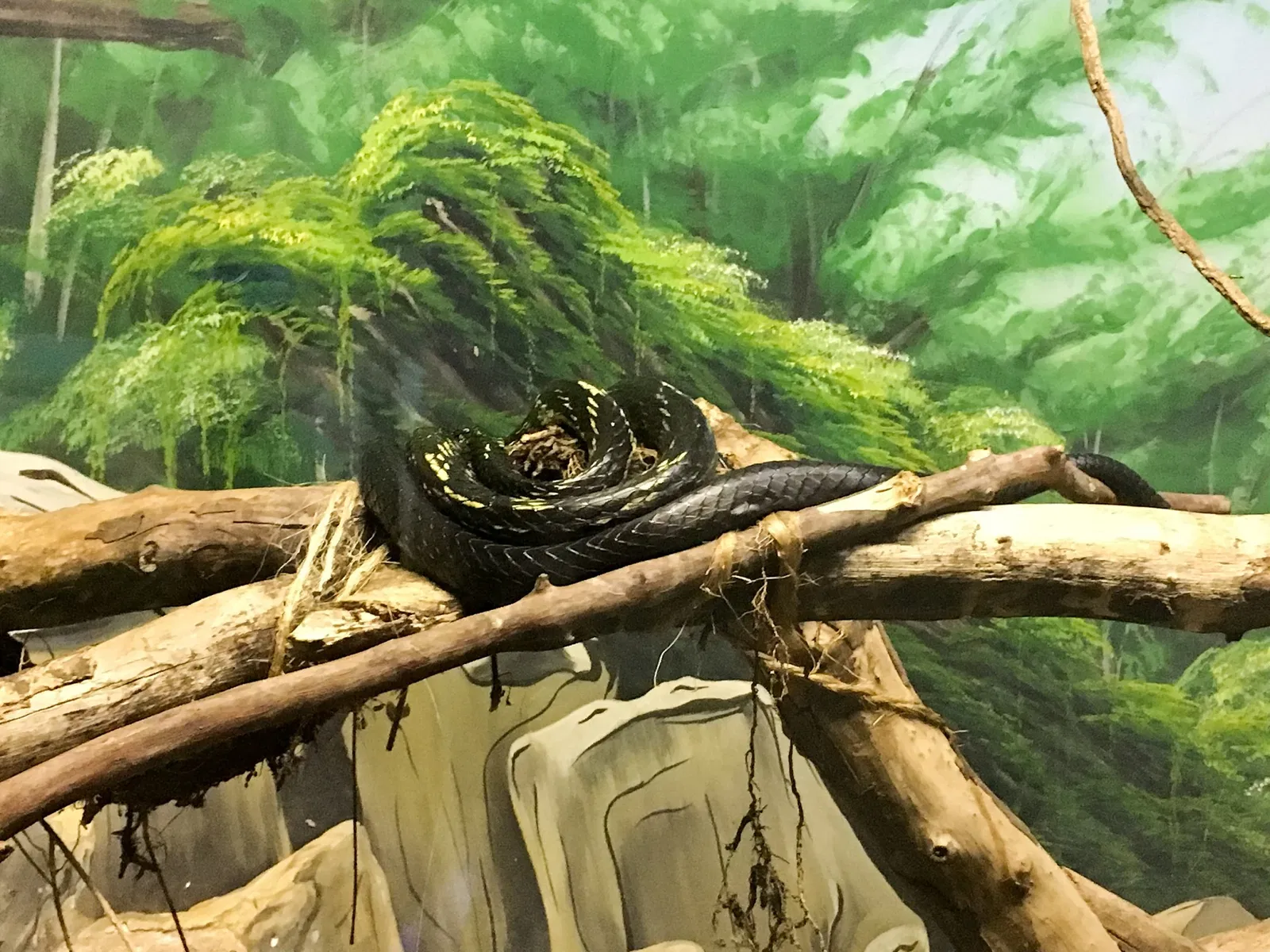 Museu Biológico Instituto Butantan