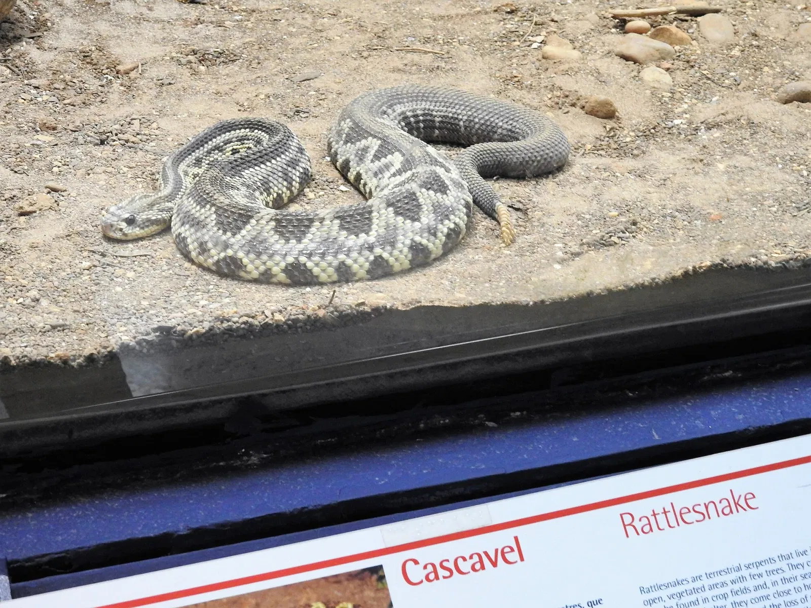 Museu Biológico Instituto Butantan