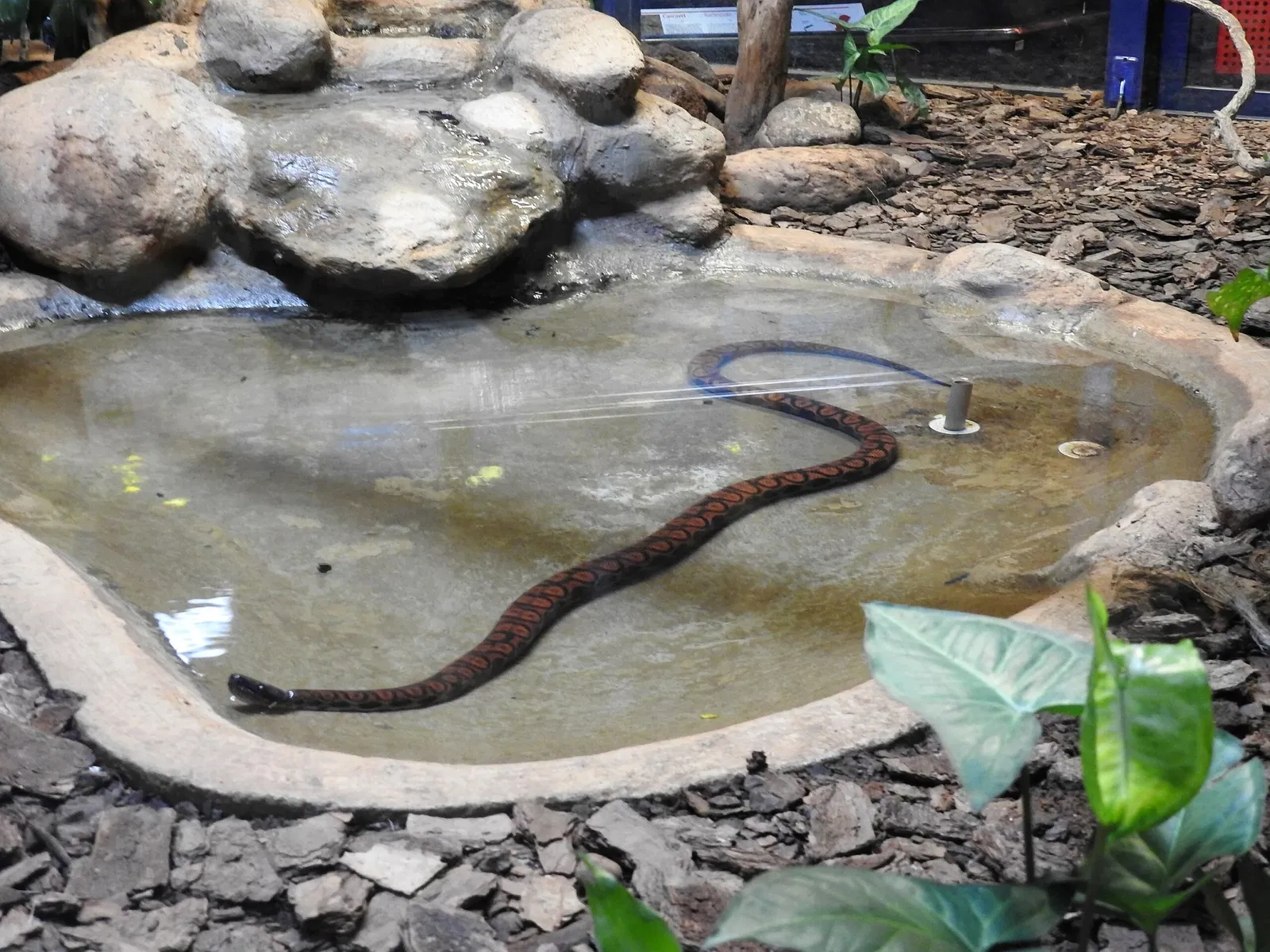 Museu Biológico Instituto Butantan