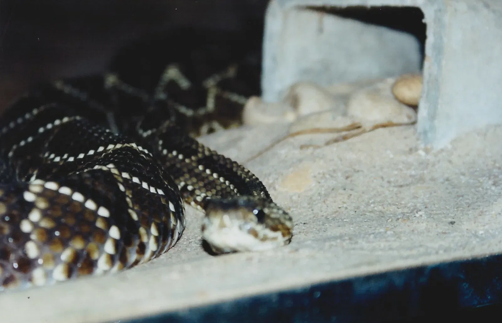Museu Biológico Instituto Butantan