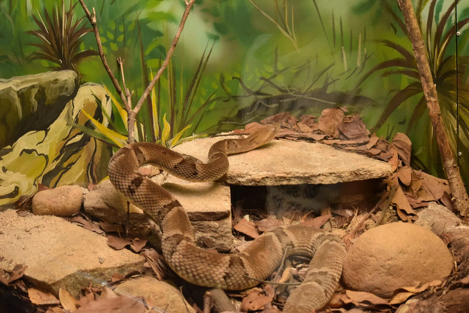 Museu Biológico Instituto Butantan