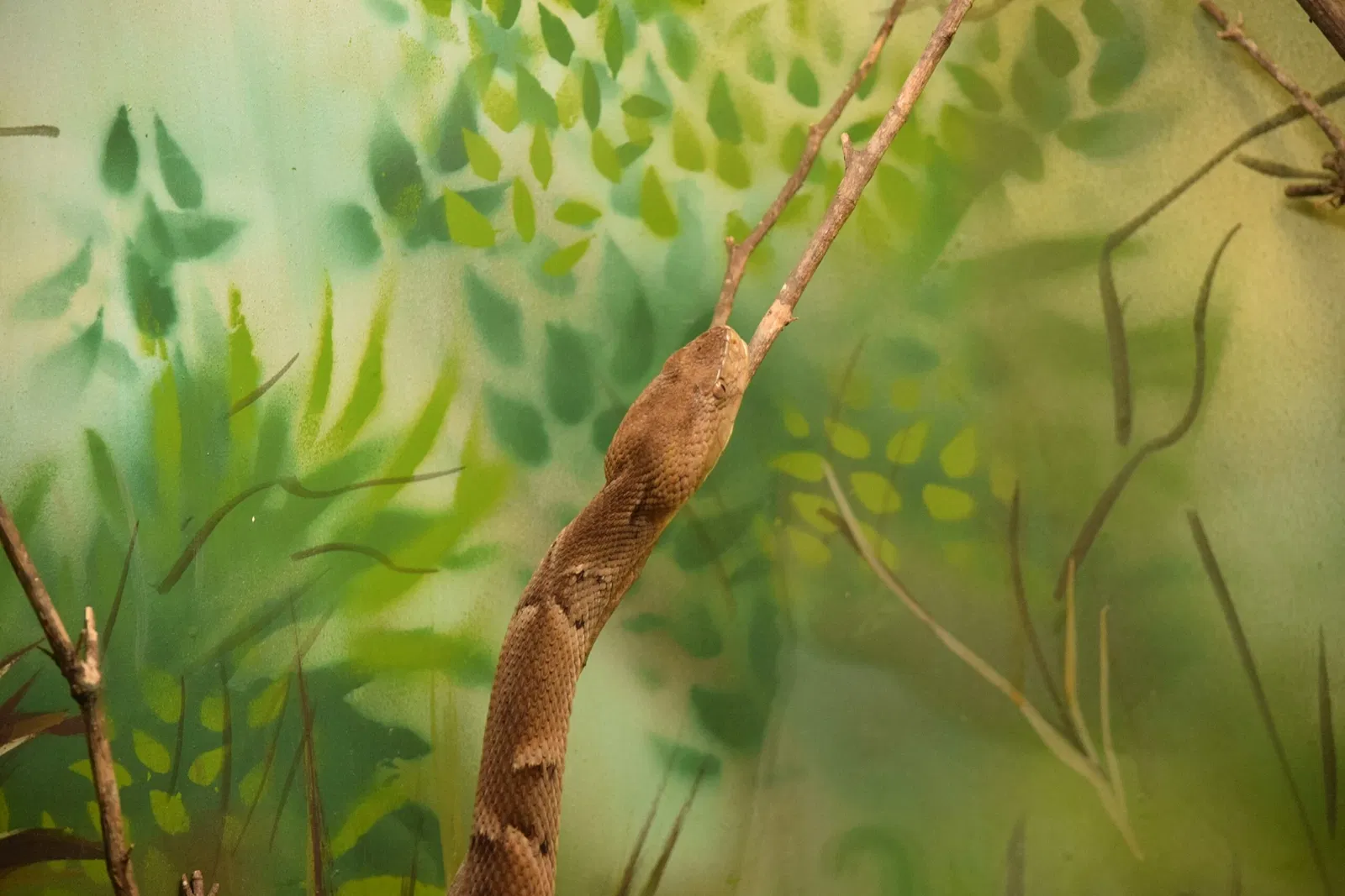 Museu Biológico Instituto Butantan