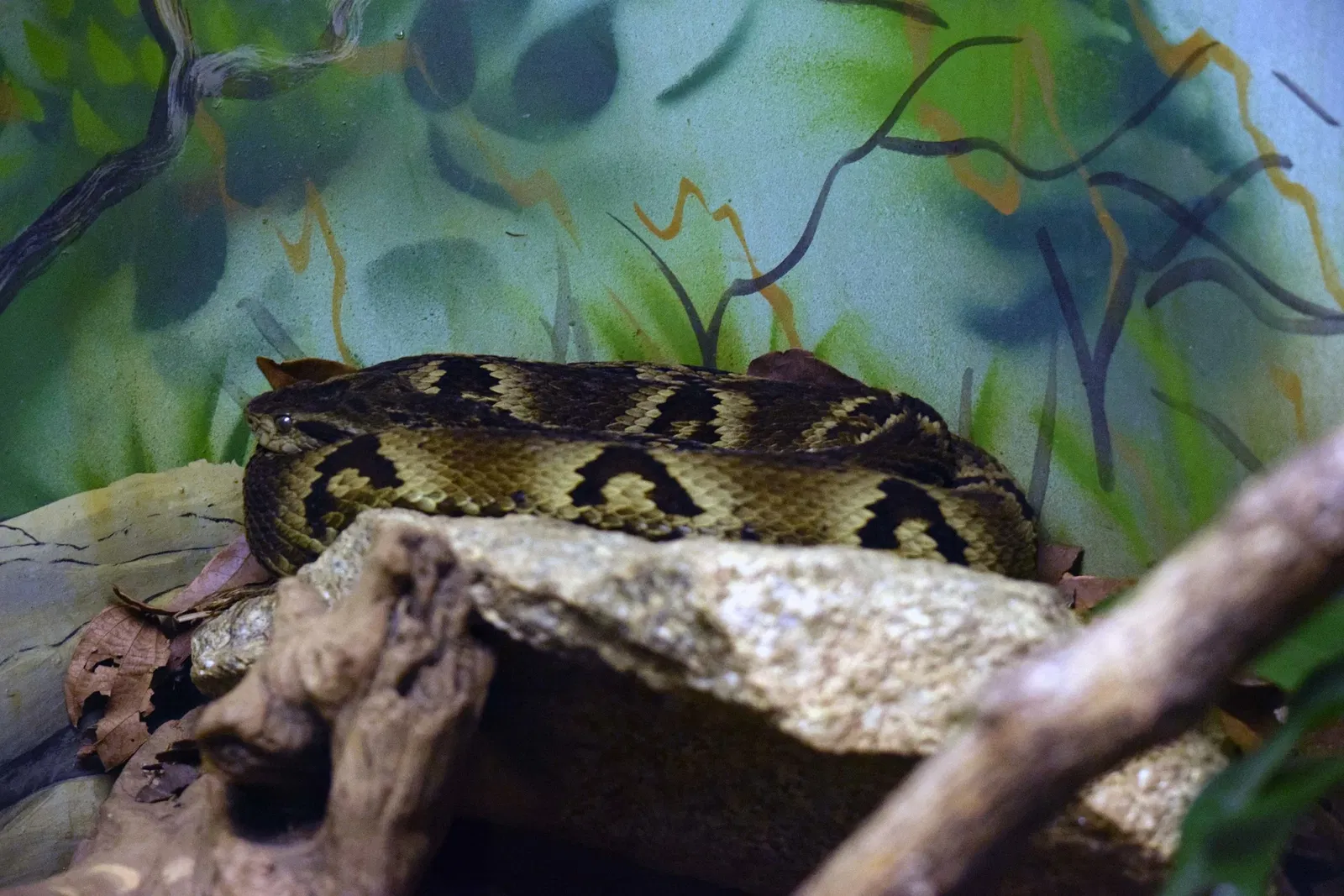 Museu Biológico Instituto Butantan