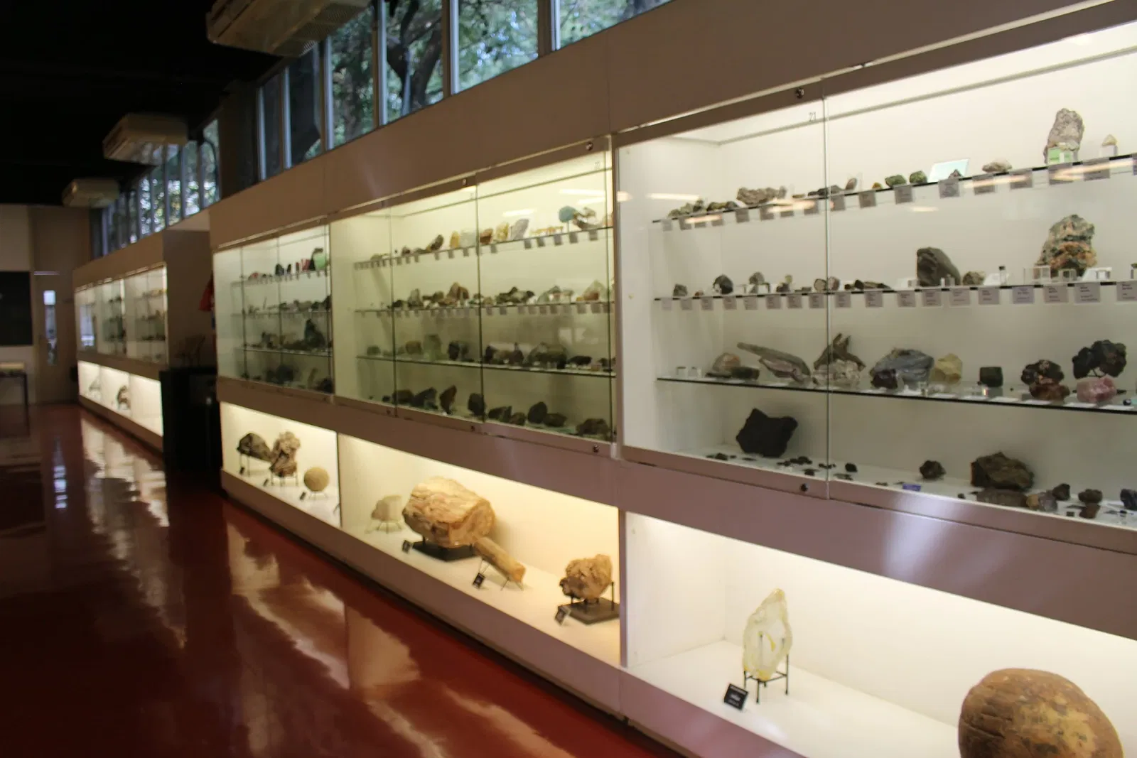 Geosciences Museum