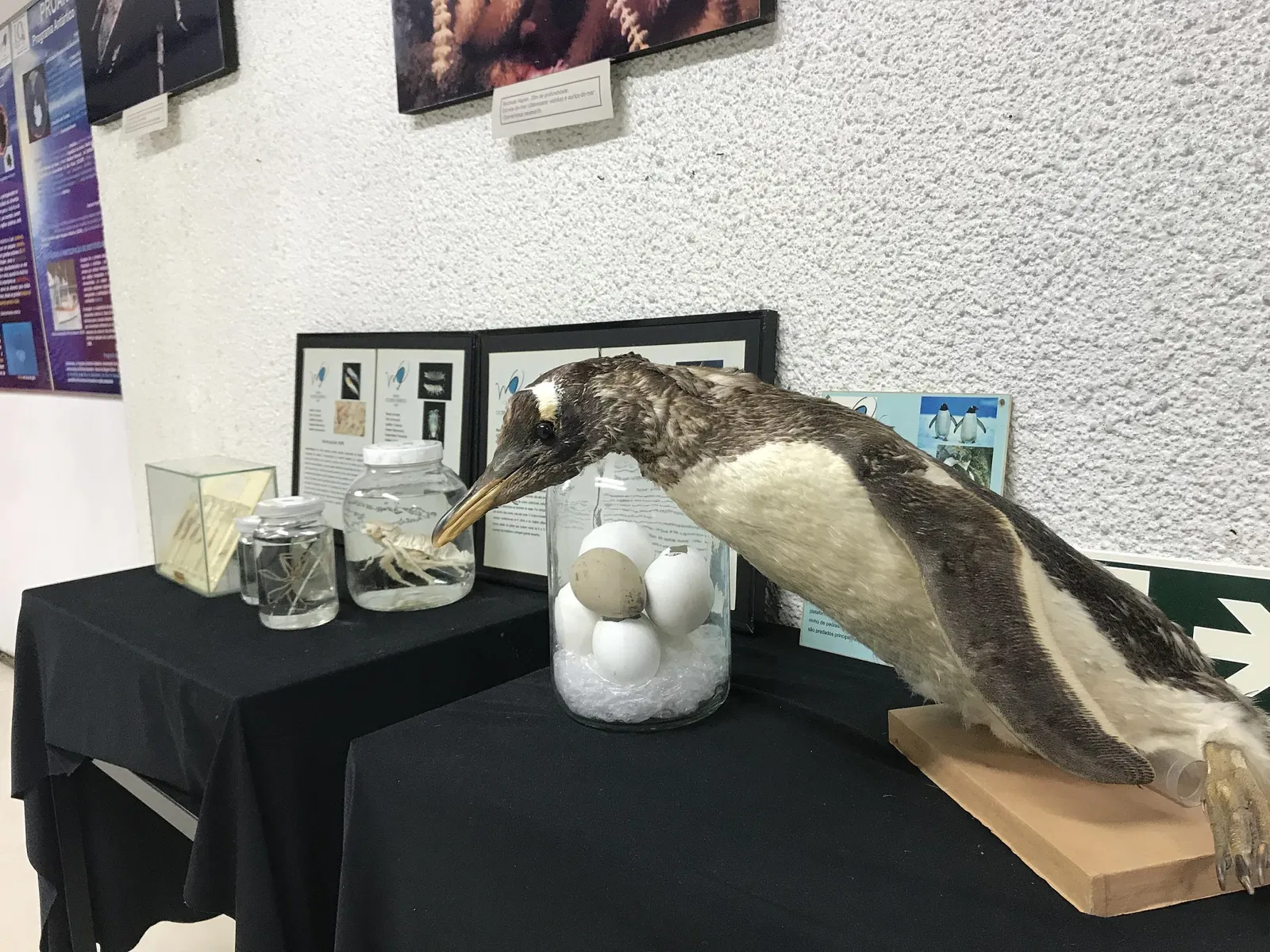 Oceanographic Museum