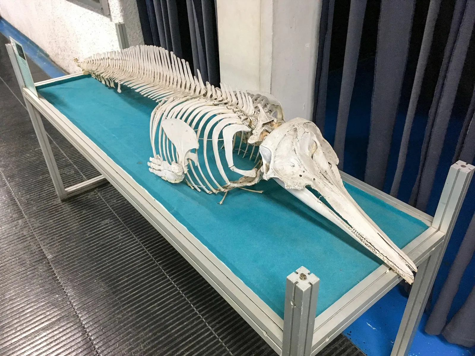 Oceanographic Museum