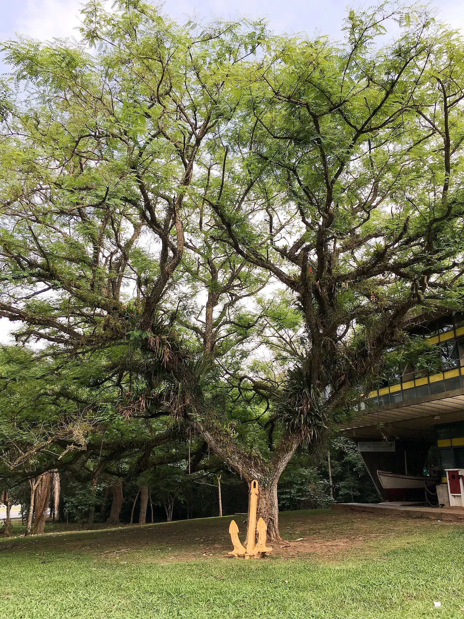 Oceanographic Museum