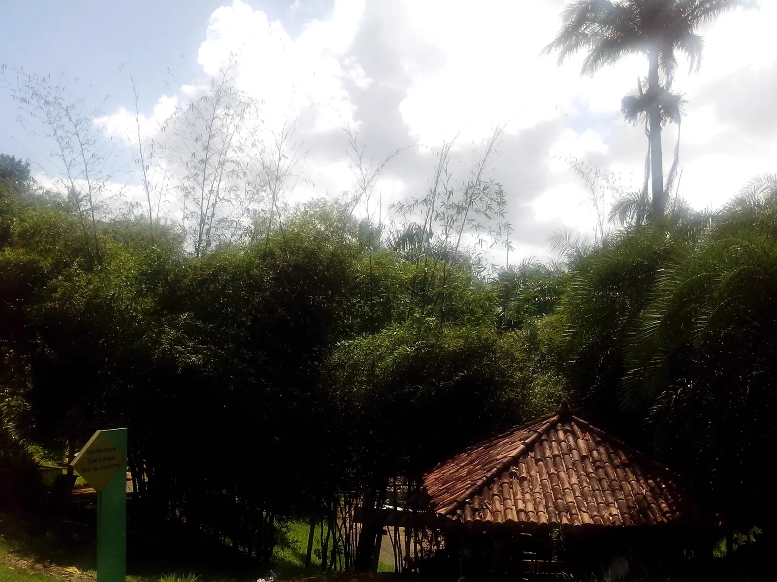 Salvador Zoo and Botanical Park