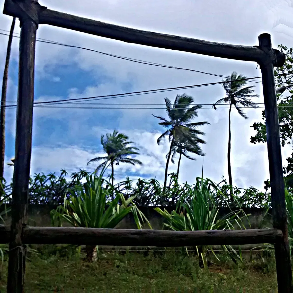 Salvador Zoo and Botanical Park