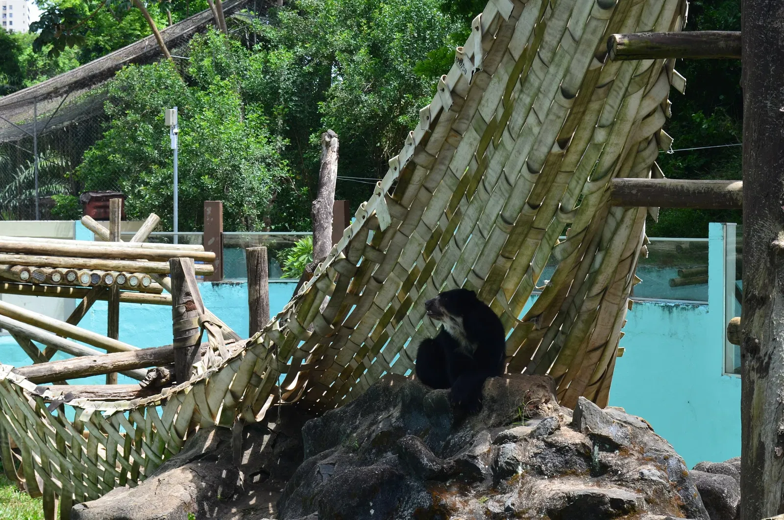 Salvador Zoo and Botanical Park