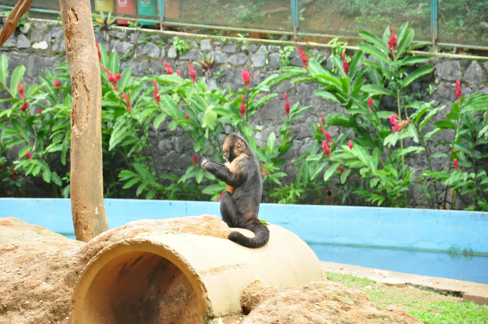 Salvador Zoo and Botanical Park