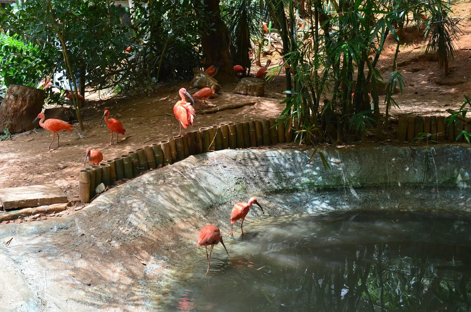 Salvador Zoo and Botanical Park