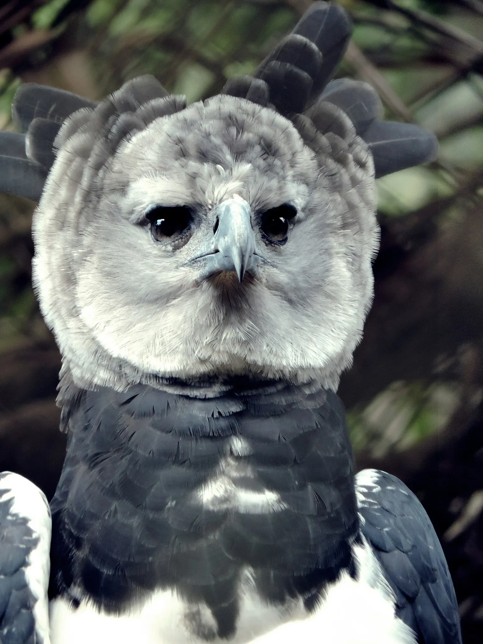 Salvador Zoo and Botanical Park