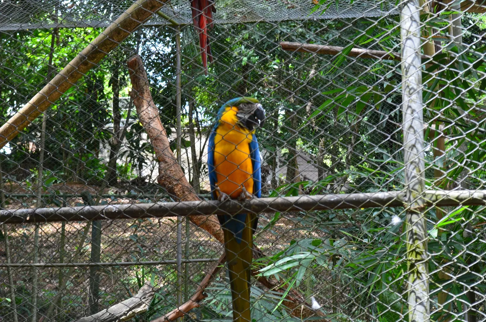 Salvador Zoo and Botanical Park