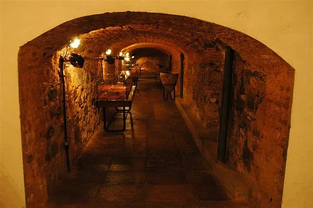 Museu de Arqueologia e Etnologia da Universidade Federal da Bahia