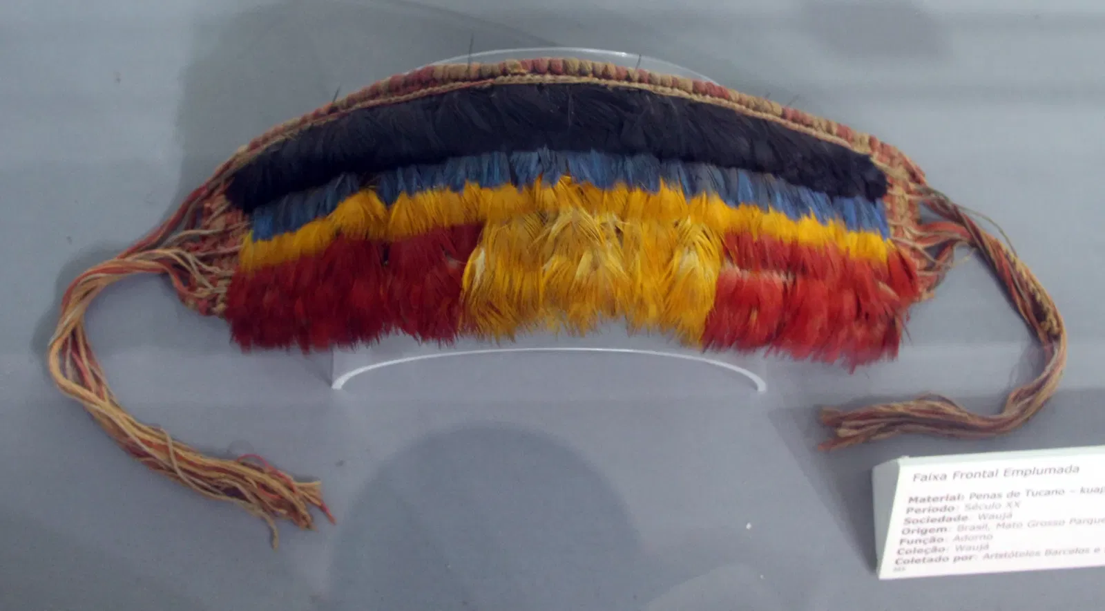 Museu de Arqueologia e Etnologia da Universidade Federal da Bahia