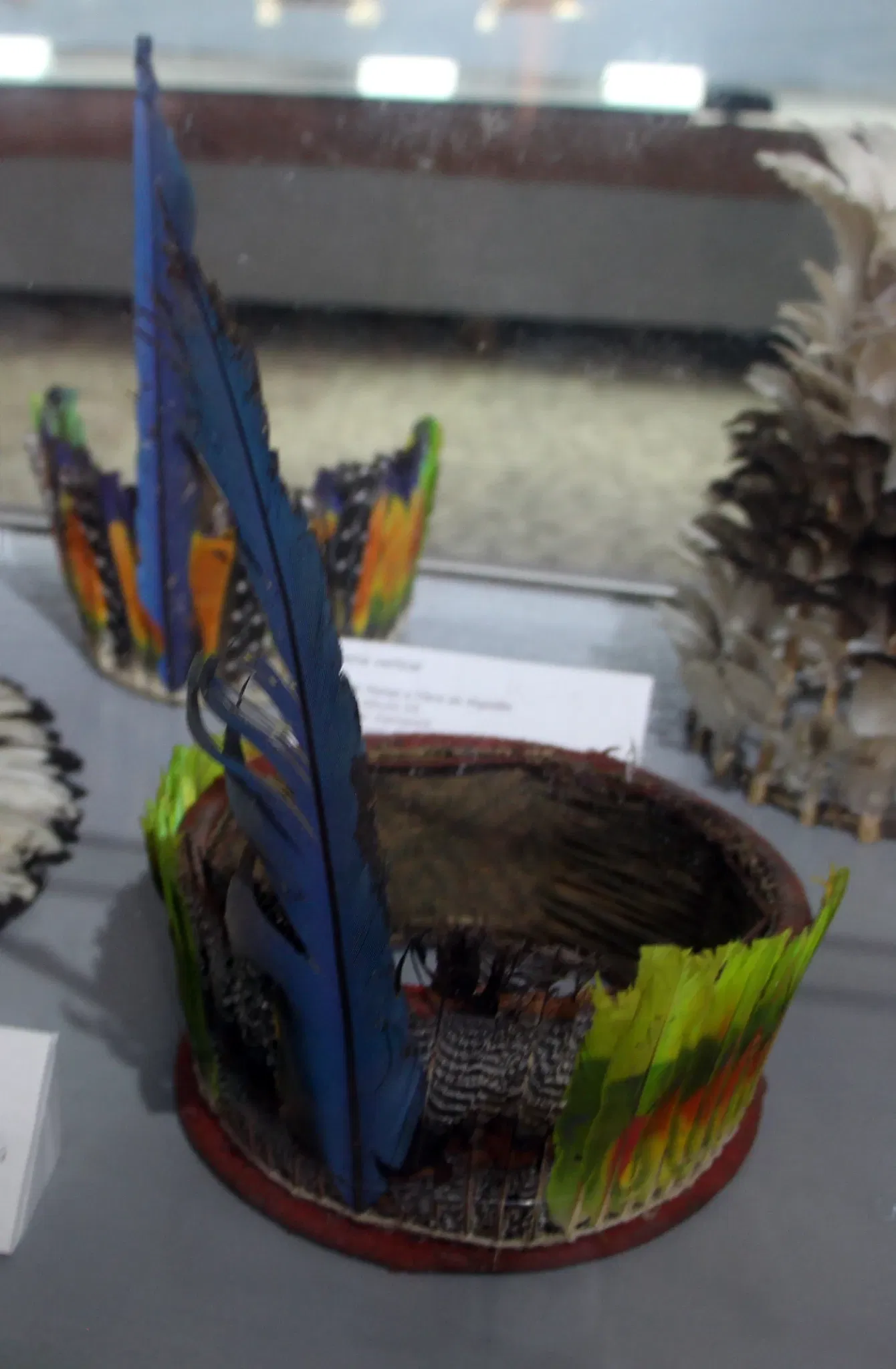 Museu de Arqueologia e Etnologia da Universidade Federal da Bahia