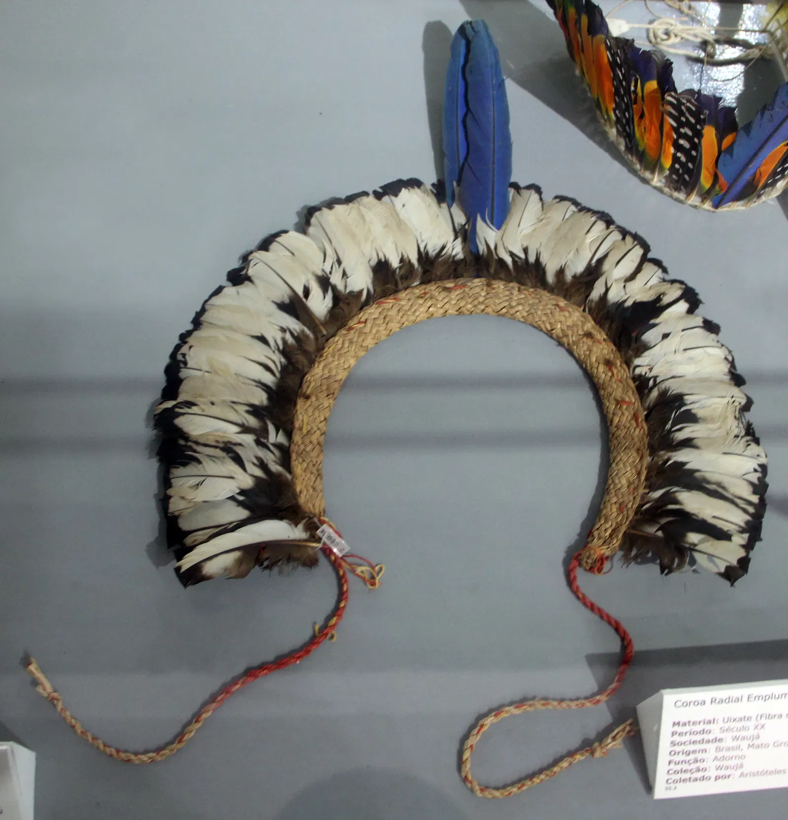 Museu de Arqueologia e Etnologia da Universidade Federal da Bahia