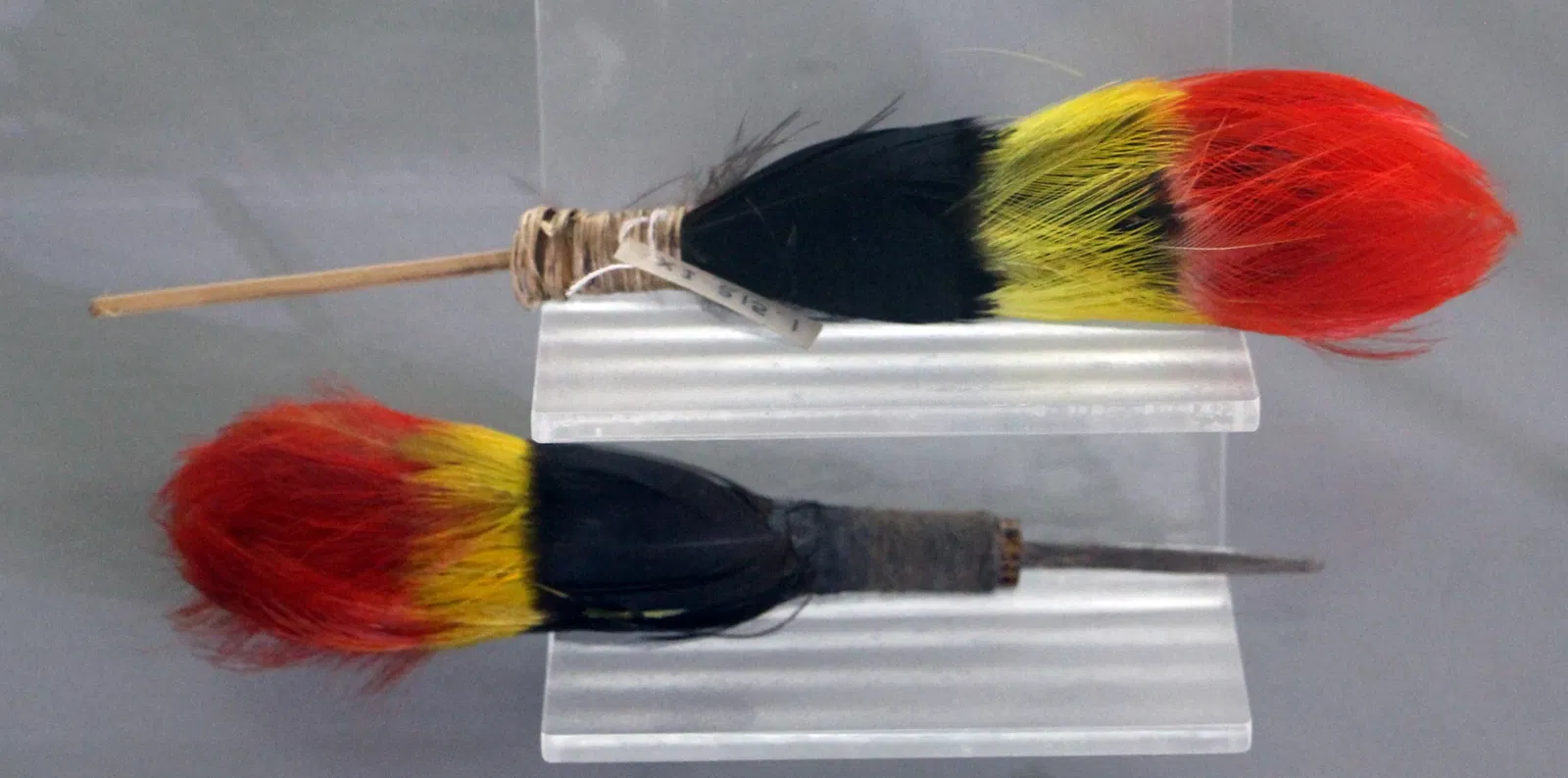 Museu de Arqueologia e Etnologia da Universidade Federal da Bahia