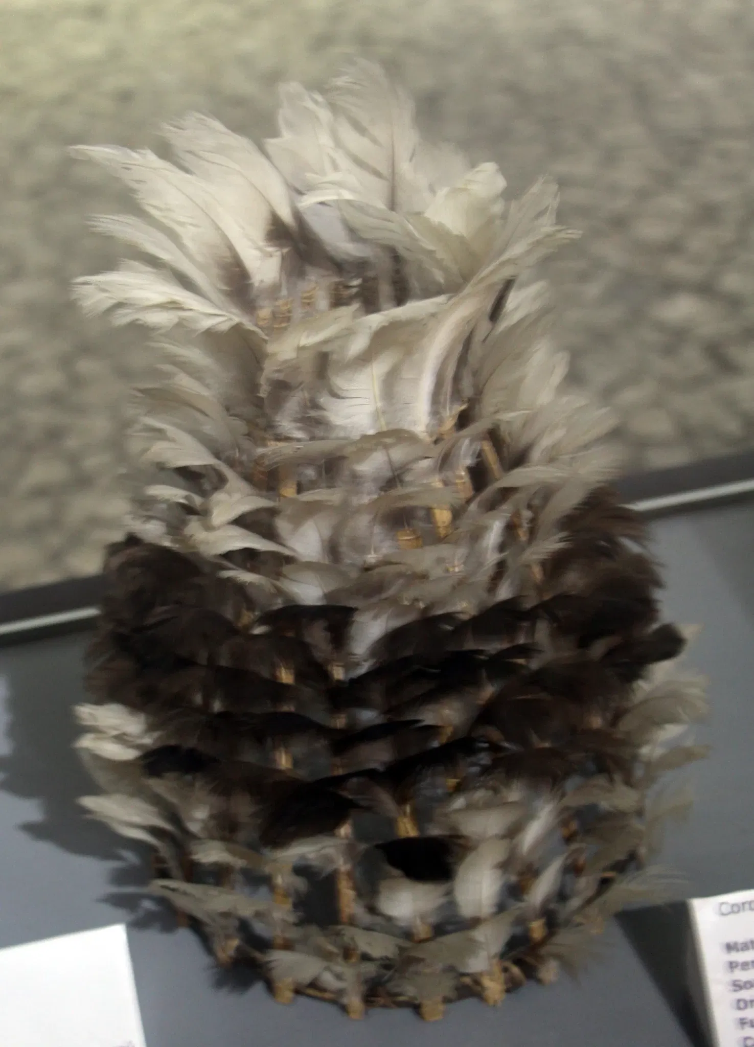 Museu de Arqueologia e Etnologia da Universidade Federal da Bahia