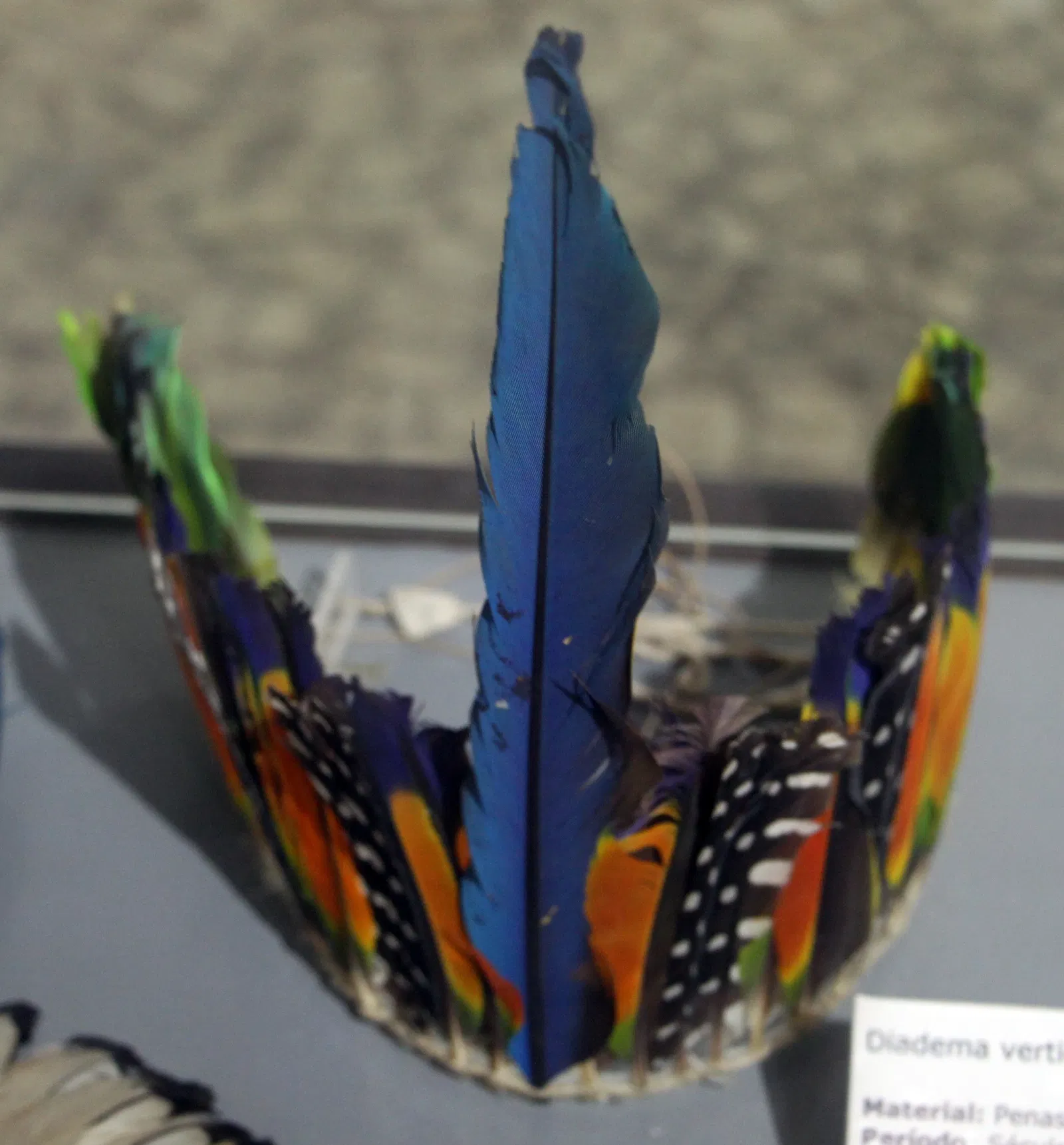 Museu de Arqueologia e Etnologia da Universidade Federal da Bahia