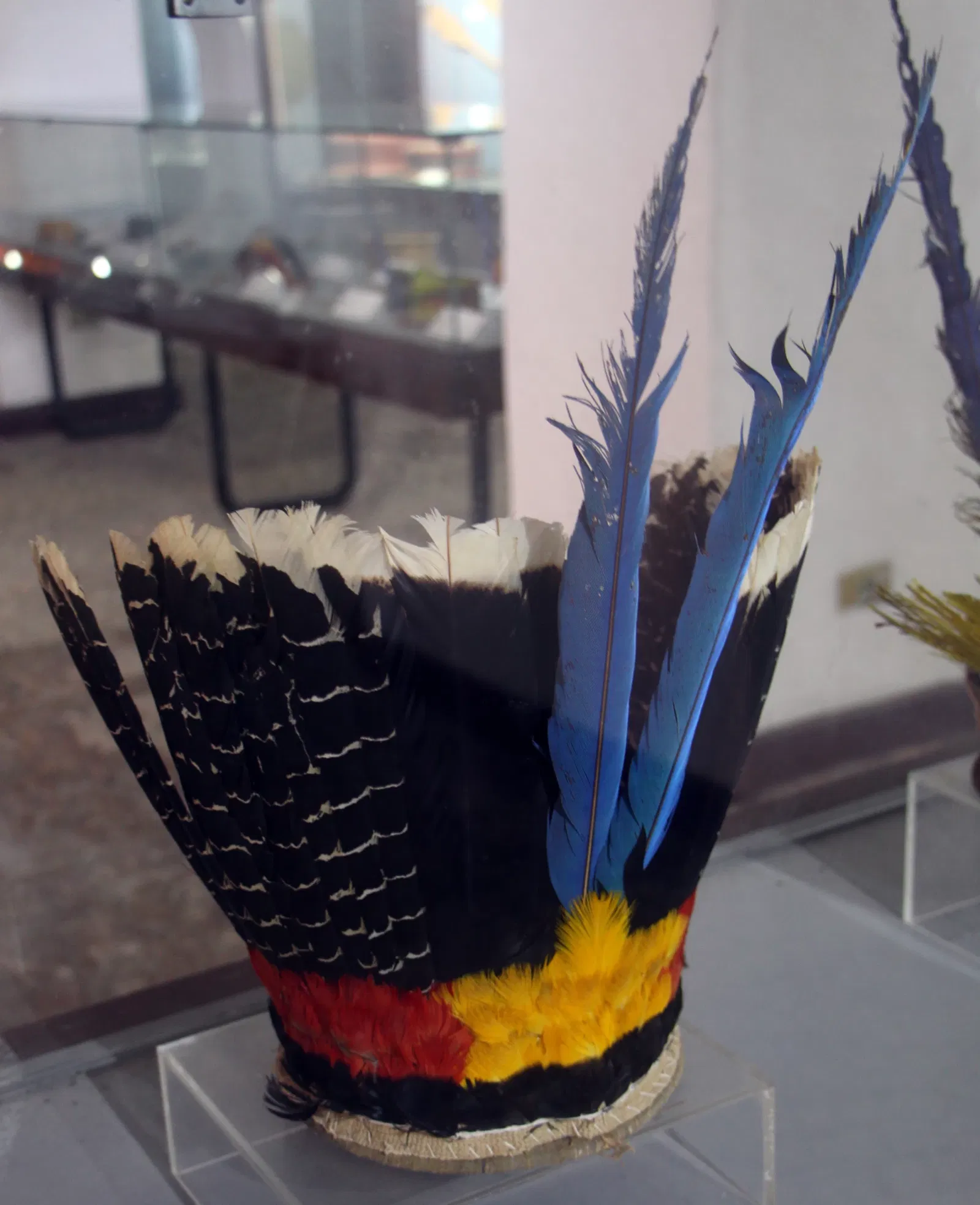 Museu de Arqueologia e Etnologia da Universidade Federal da Bahia