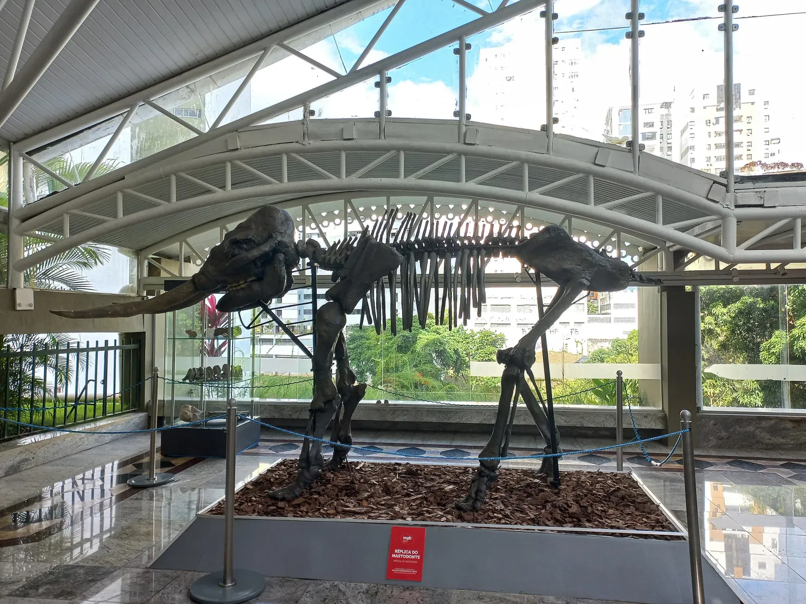 Bahia Geological Museum