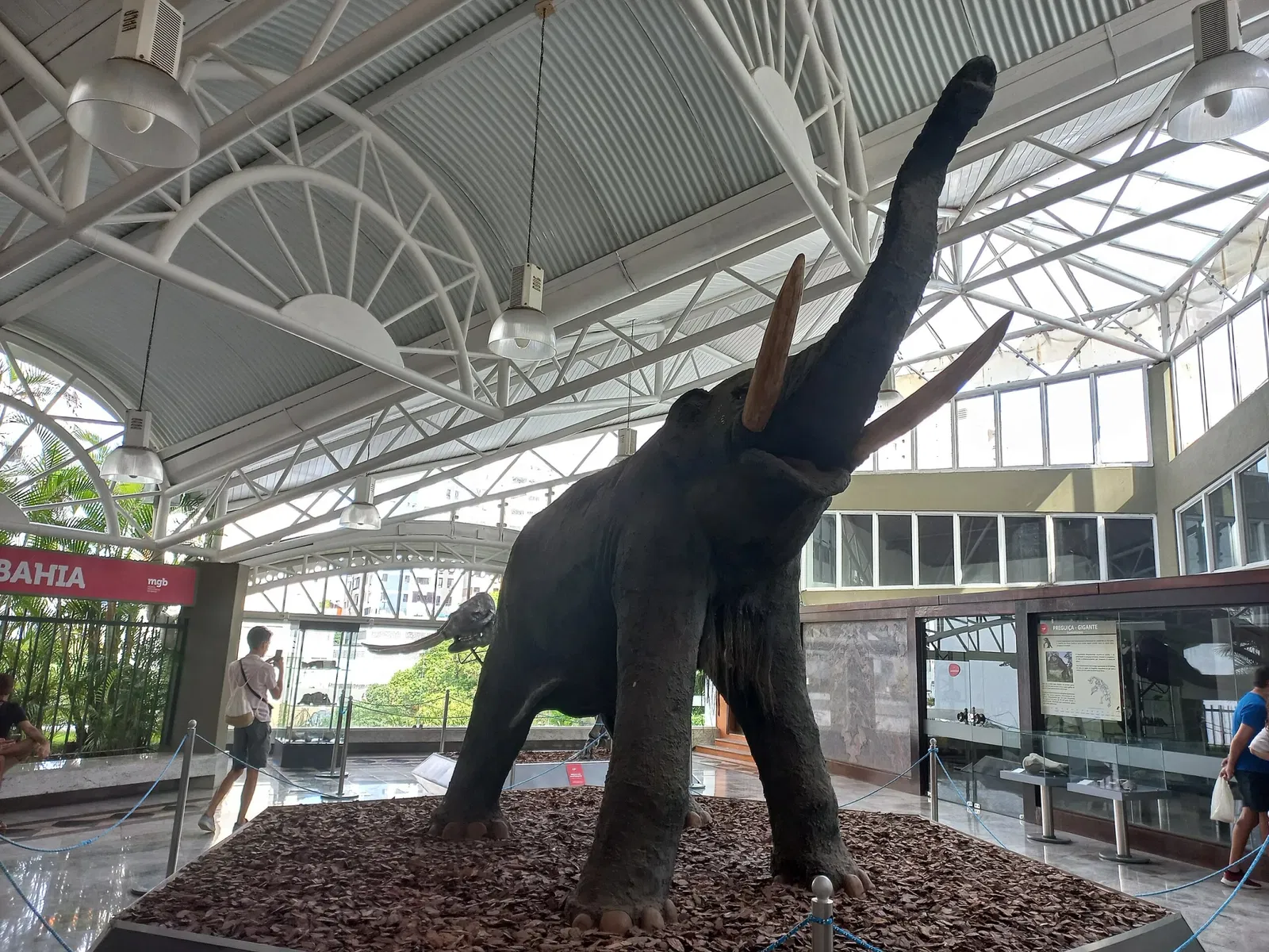 Bahia Geological Museum