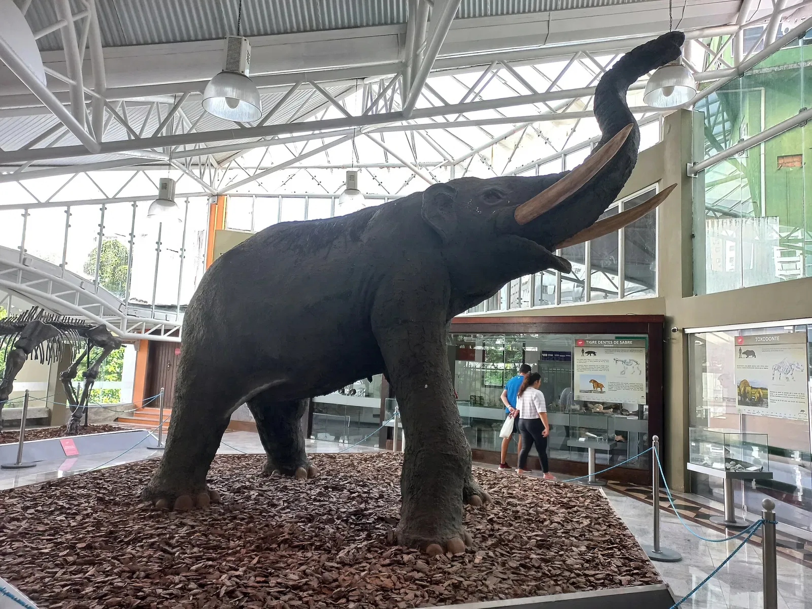 Bahia Geological Museum
