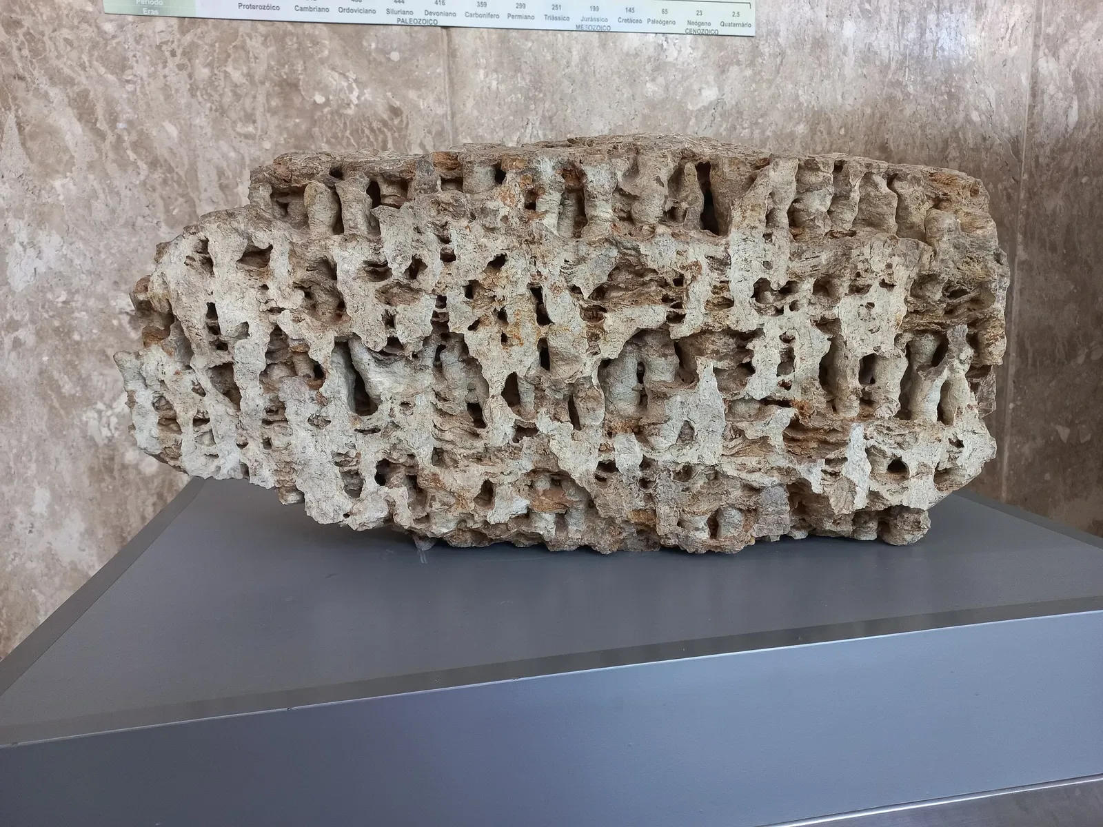 Bahia Geological Museum